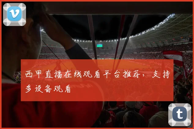 西甲直播在线观看平台推荐，支持多设备观看